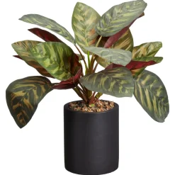 Kwantum Kunstplanten & Kunstbloemen*Kunstplant Calathea Groen