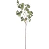 Kwantum Kunstplanten & Kunstbloemen*Kunsttak Eucalyptus Groen