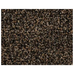 Kwantum Lopers*Loper Kingston Bruin