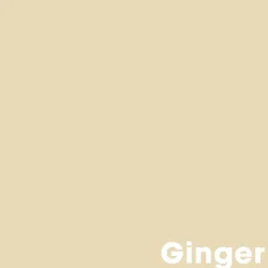 Kwantum Muurverf*Muurverf Professional Ginger 1 L 1L