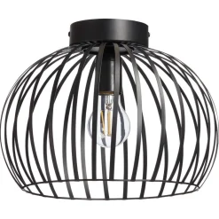 Kwantum Plafondlampen*Plafondlamp Dian Zwart