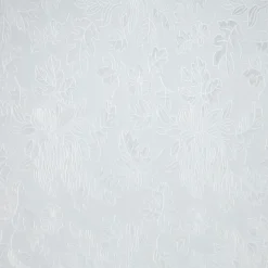 Kwantum Raamfolie*Plakfolie Blad Transparant