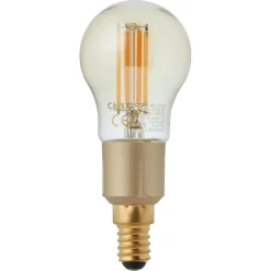 Kwantum Lichtbronnen*Smart Led Kogellamp Goud